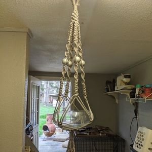 Plant hanger